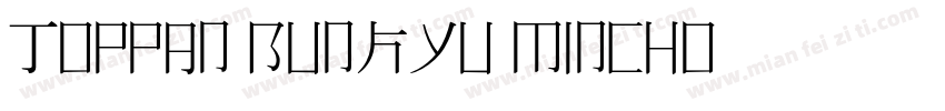 Toppan Bunkyu Mincho字体转换